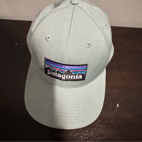 Patagonia Sky Blue Logo Cap - Picture 1 of 3